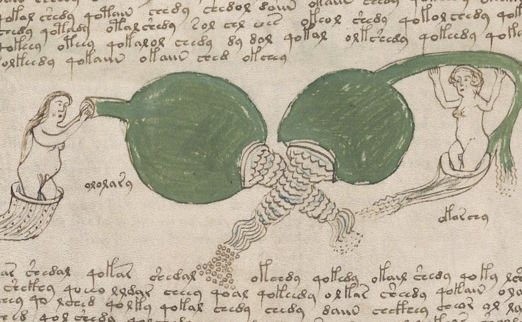 Explorează o ediție digitalizată a Manuscrisului Voynich, cea mai misterioasă carte din lume.